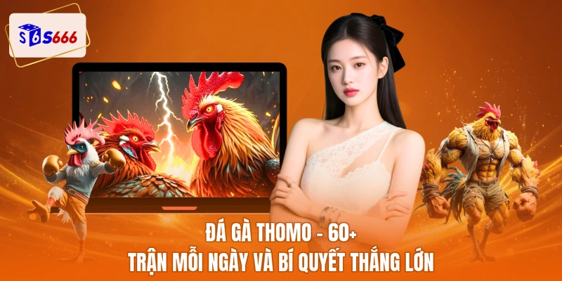 Đá gà thomo